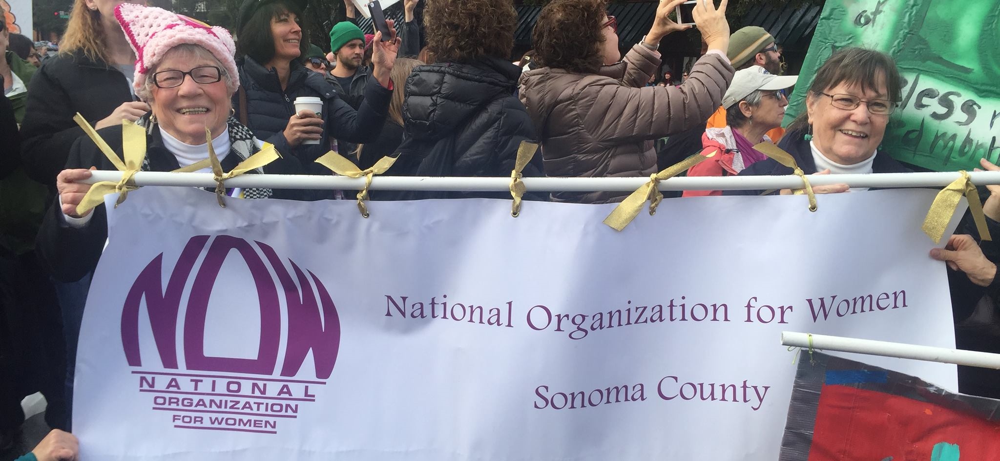 NOW Sonoma Chapter marching at Women's March January 2017